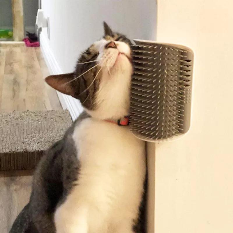 Self Groomer Massage Comb com Catnip para gatos, esse presente de primeira mão, vai deixar seu gato extremamente feliz e animado.
Prolongue a amizade entre você e seu PET. - Infinital Place