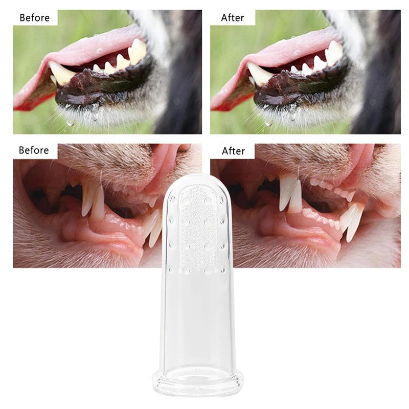 Sílica Gel Finger Toothbrush para Pet, mantenha a higiene bucal do seu pet em dia. - Infinital Place